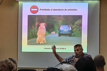 Más por Telde analiza y debate la nueva Ley de Protección y Bienestar Animal/TA.